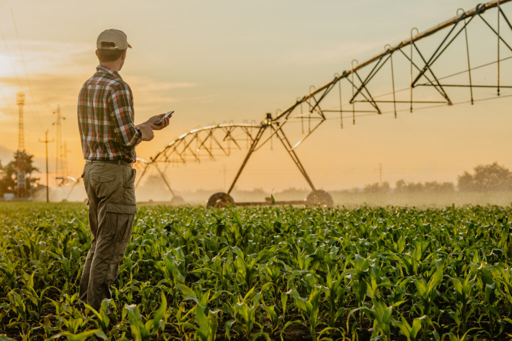 Visuel agriculture