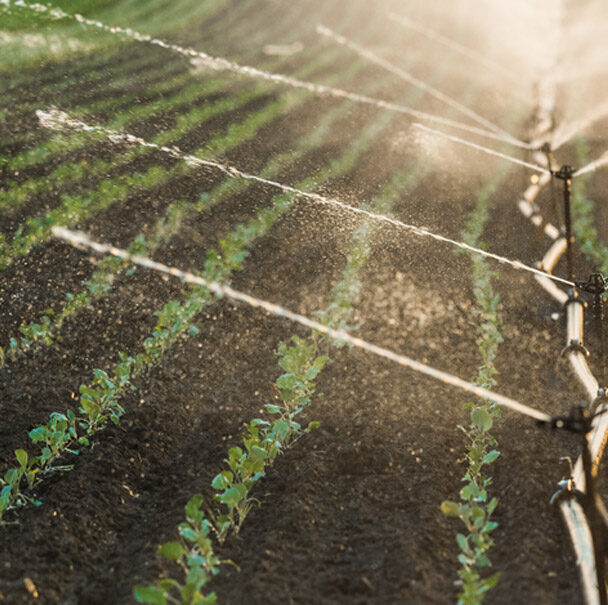 Visuel réseaux d'irrigation