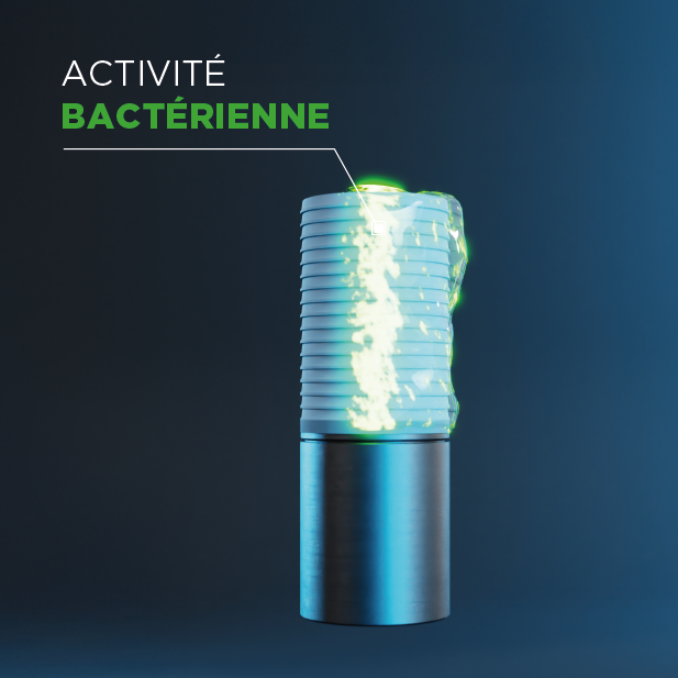 Activité bactérienne