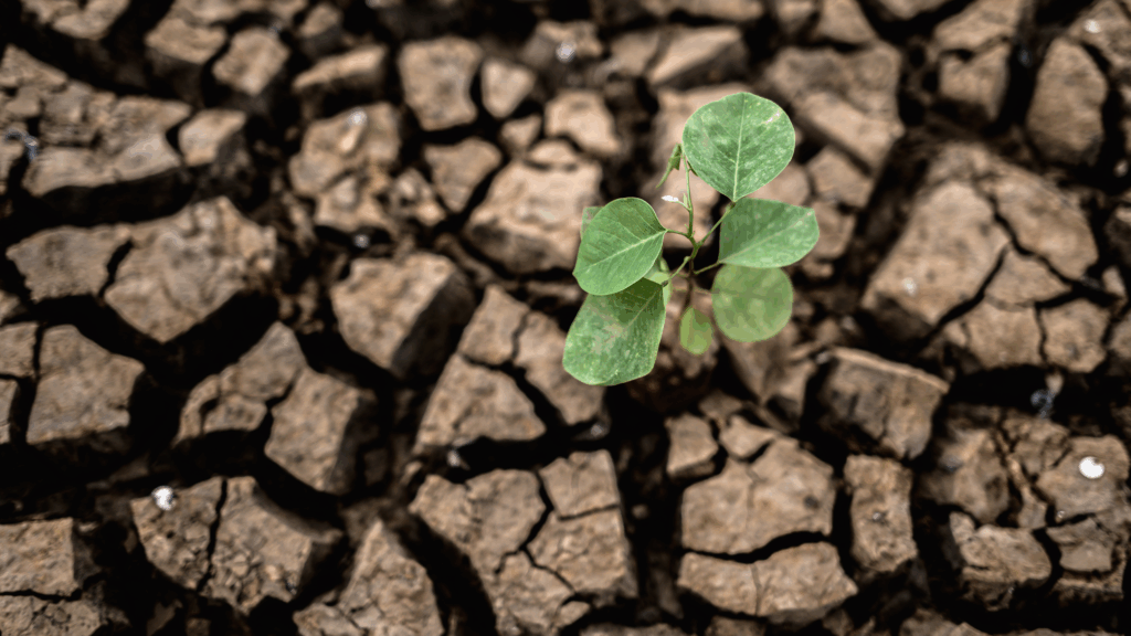 Raréfaction de la ressource Eau
