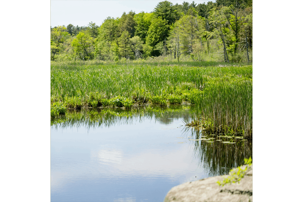Préservation de la ressource Eau